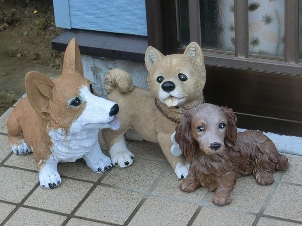 f:id:maronmame:20190424180145j:plain