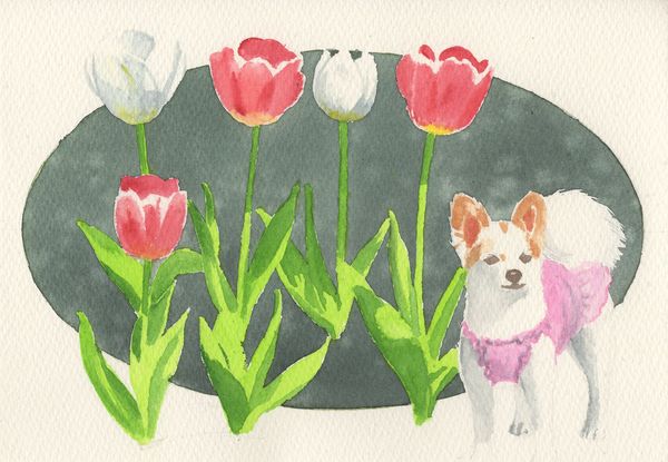 f:id:maronmame:20190503152155j:plain