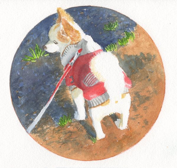 f:id:maronmame:20190503152347j:plain