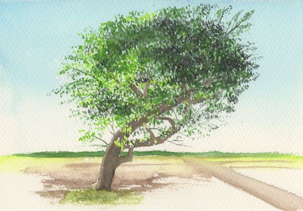 f:id:maronmame:20190503152502j:plain