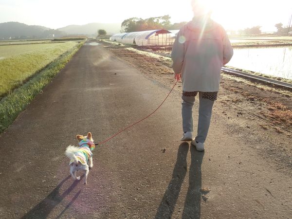 f:id:maronmame:20190503152757j:plain