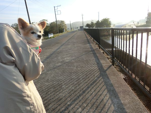 f:id:maronmame:20190503152845j:plain