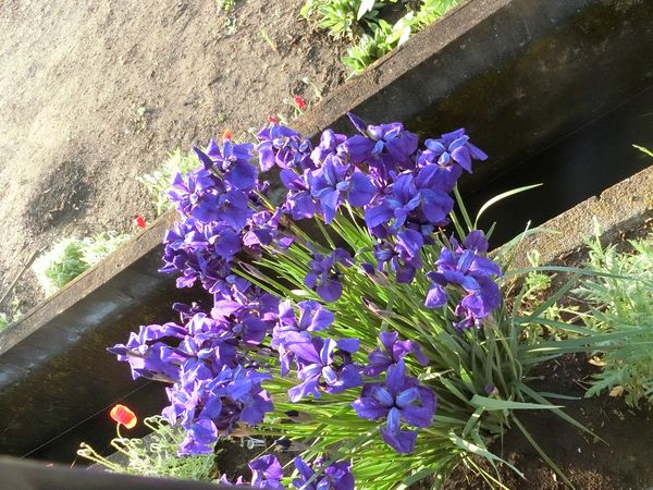 f:id:maronmame:20190503152918j:plain