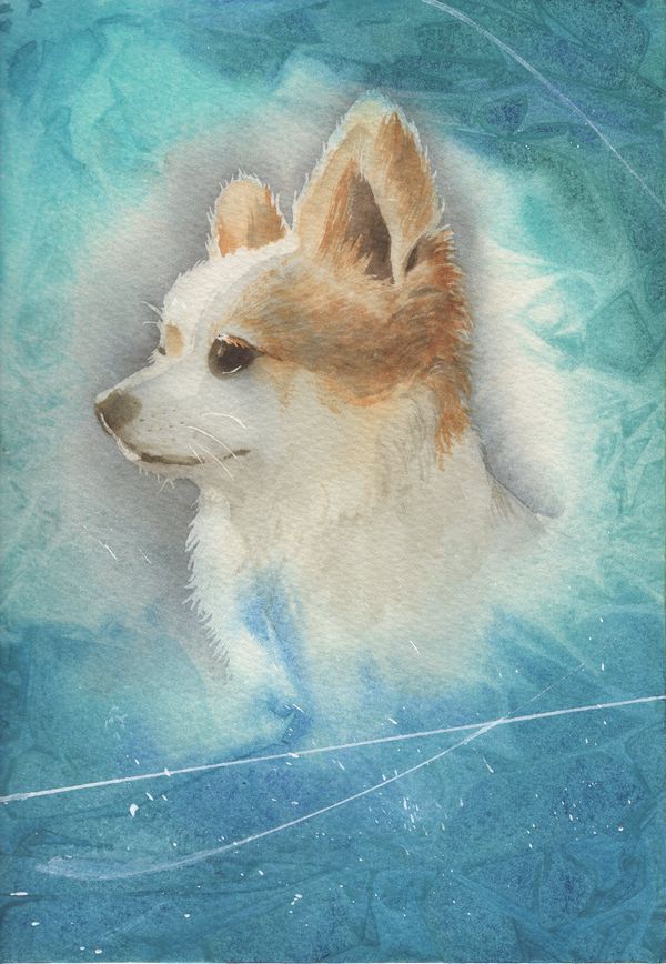 f:id:maronmame:20190525115604j:plain