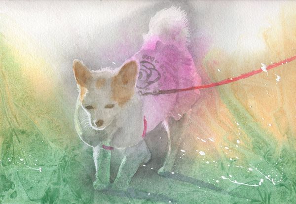 f:id:maronmame:20190525115725j:plain