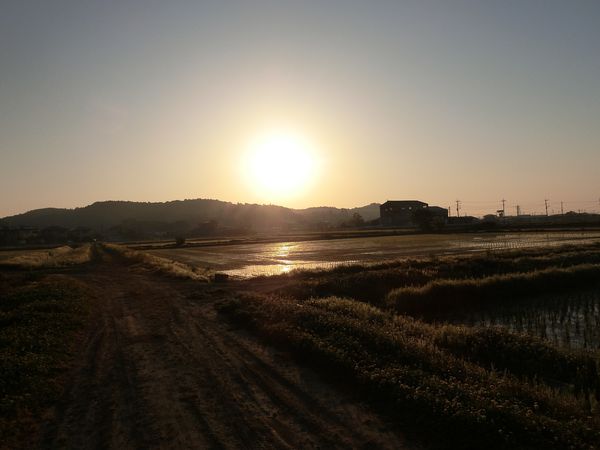 f:id:maronmame:20190525120101j:plain