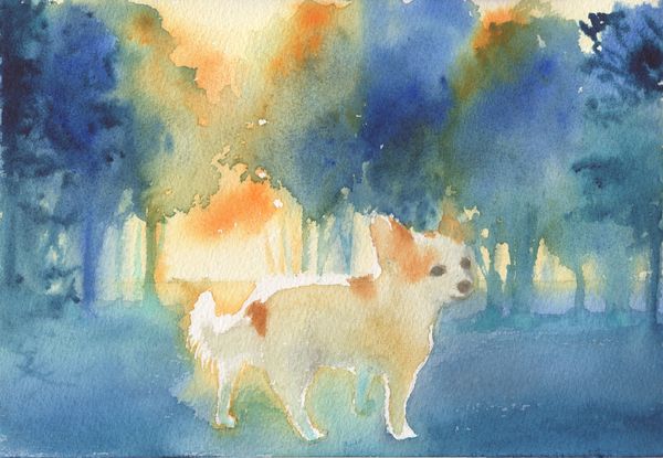 f:id:maronmame:20190616125723j:plain