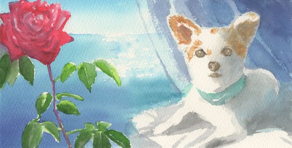 f:id:maronmame:20190616125847j:plain