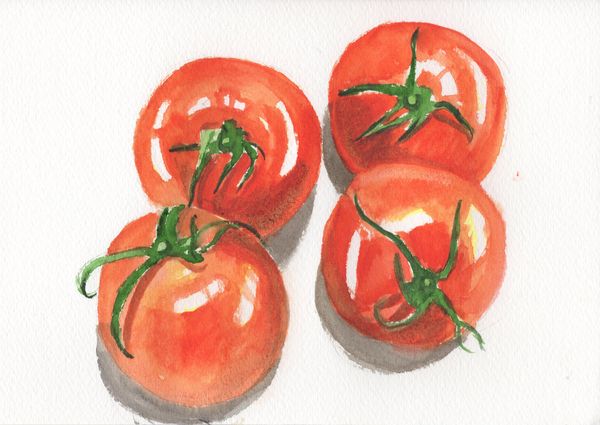 f:id:maronmame:20190616130158j:plain