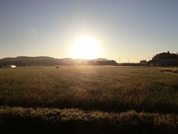 f:id:maronmame:20190616130431j:plain