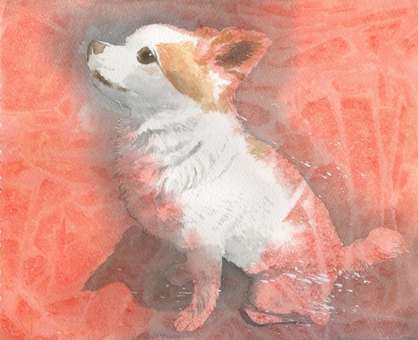 f:id:maronmame:20190706181346j:plain