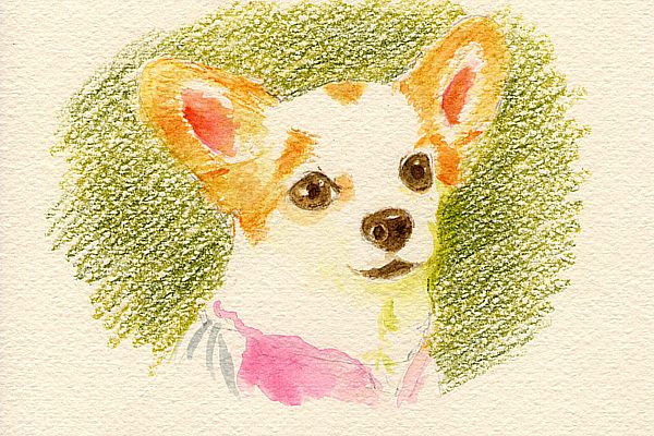 f:id:maronmame:20190706181457j:plain