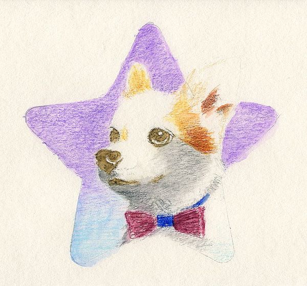 f:id:maronmame:20190706181622j:plain