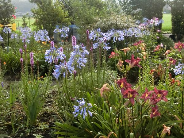 f:id:maronmame:20190706182401j:plain