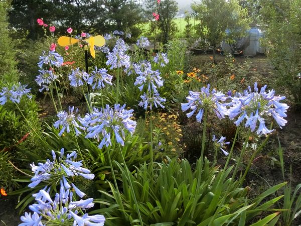 f:id:maronmame:20190706182431j:plain