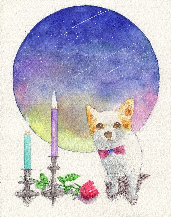 f:id:maronmame:20190709131836j:plain f:id:maronmame:20190709131836j:plain