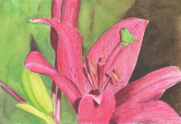 f:id:maronmame:20190709132414j:plain f:id:maronmame:20190709132414j:plain