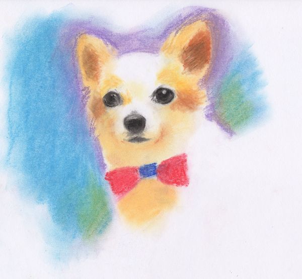 f:id:maronmame:20190709132628j:plain f:id:maronmame:20190709132628j:plain