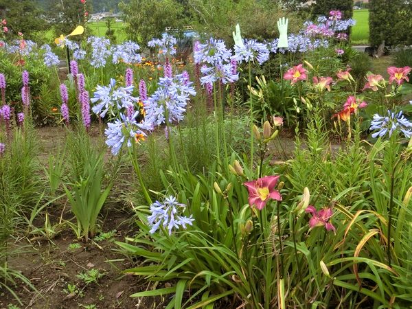 f:id:maronmame:20190709132935j:plain f:id:maronmame:20190709132935j:plain