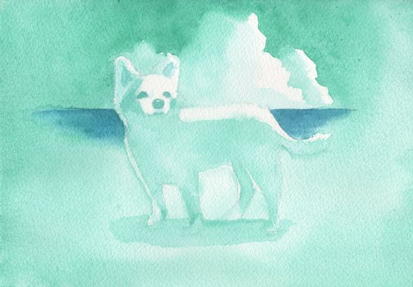 f:id:maronmame:20190716125954j:plain