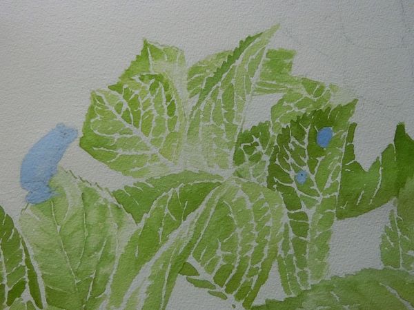 f:id:maronmame:20190716130629j:plain