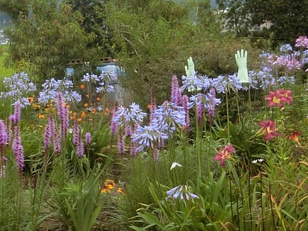 f:id:maronmame:20190716131032j:plain