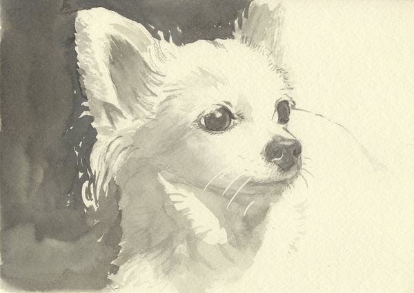 f:id:maronmame:20190720101127j:plain