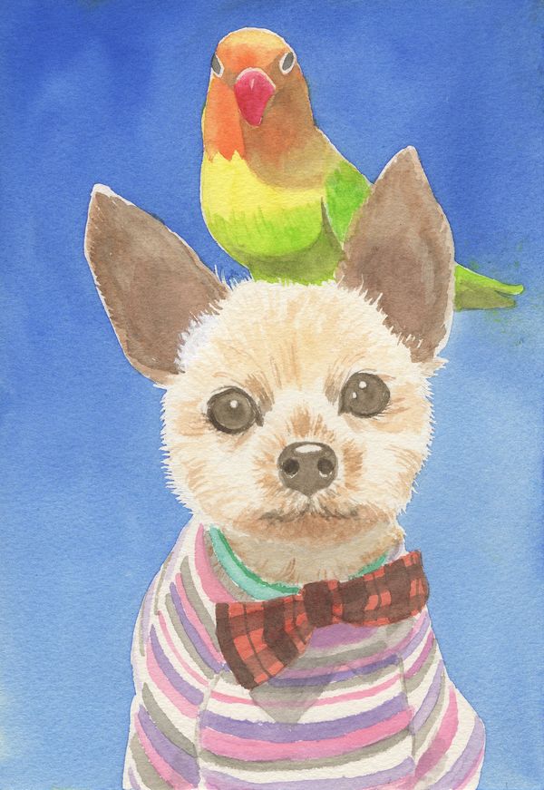 f:id:maronmame:20190720101323j:plain