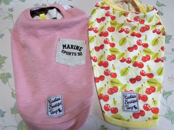 f:id:maronmame:20190720101551j:plain