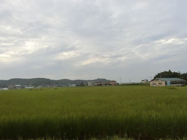 f:id:maronmame:20190720101829j:plain