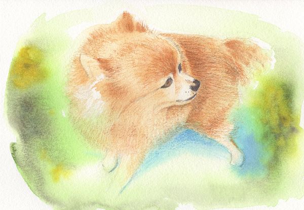 f:id:maronmame:20190906124725j:plain f:id:maronmame:20190906124725j:plain