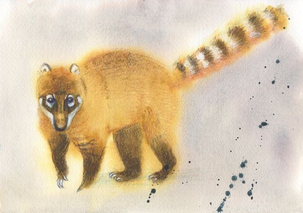 f:id:maronmame:20190906124918j:plain f:id:maronmame:20190906124918j:plain