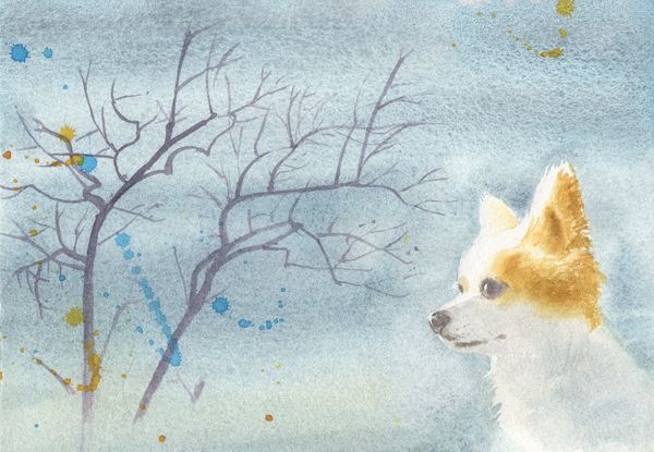 f:id:maronmame:20190906125302j:plain f:id:maronmame:20190906125302j:plain