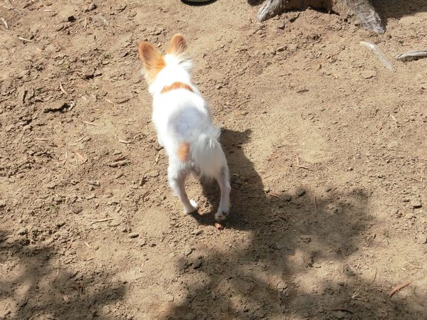 f:id:maronmame:20190906125528j:plain f:id:maronmame:20190906125528j:plain