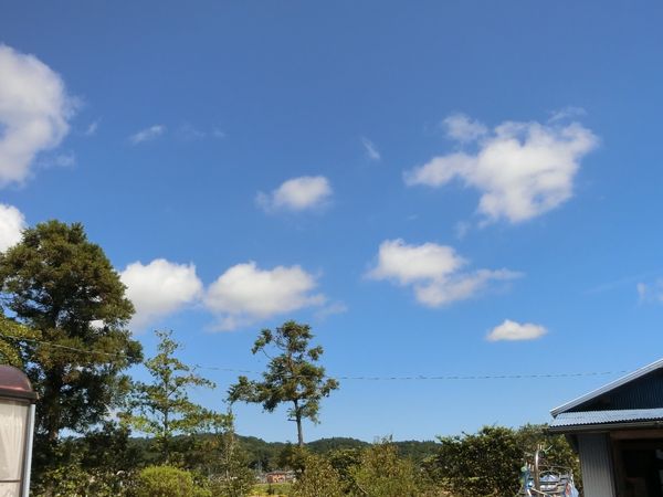 f:id:maronmame:20190906125618j:plain f:id:maronmame:20190906125618j:plain