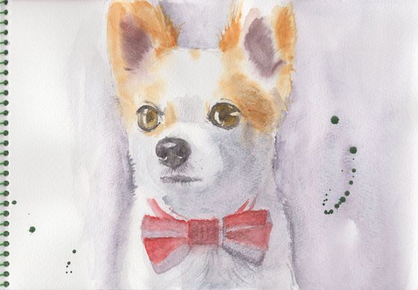 f:id:maronmame:20190915090254j:plain