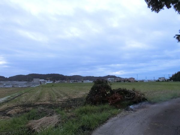 f:id:maronmame:20190915090503j:plain