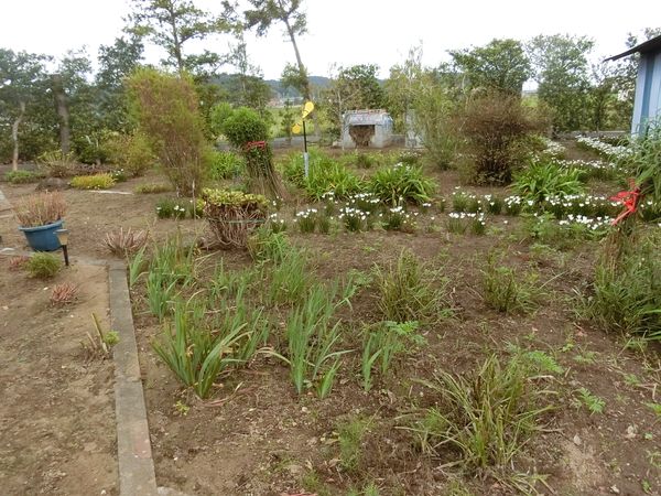 f:id:maronmame:20190915090611j:plain