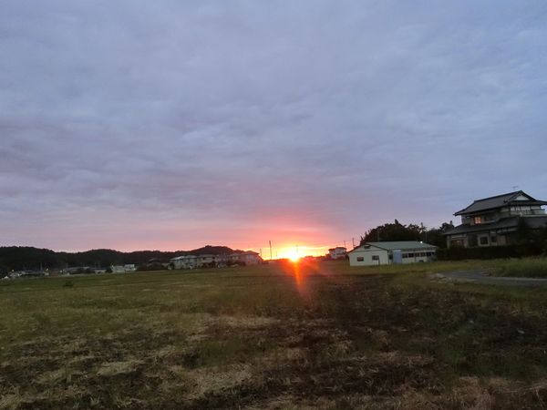 f:id:maronmame:20190915090729j:plain