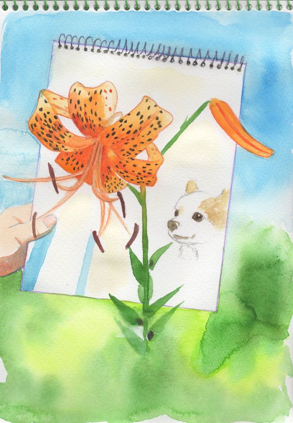 f:id:maronmame:20190920130335j:plain