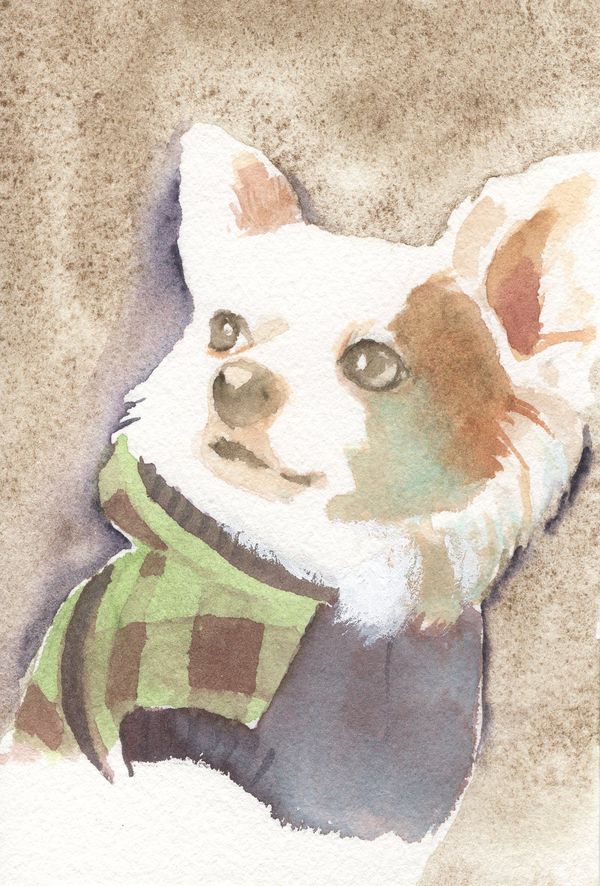 f:id:maronmame:20190920130426j:plain