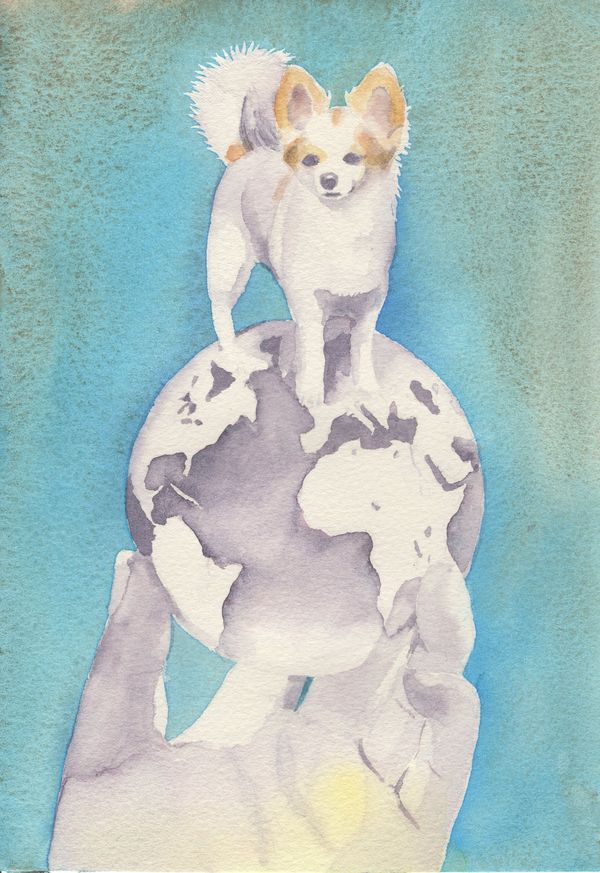 f:id:maronmame:20190920130638j:plain