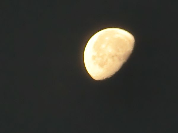 f:id:maronmame:20190920131141j:plain