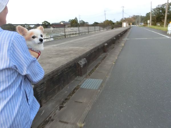 f:id:maronmame:20190920131211j:plain