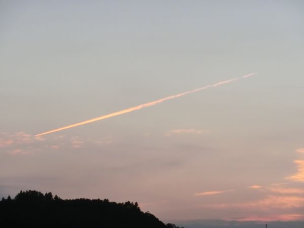 f:id:maronmame:20190920131226j:plain