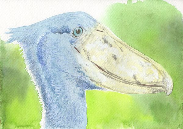 f:id:maronmame:20190926145936j:plain