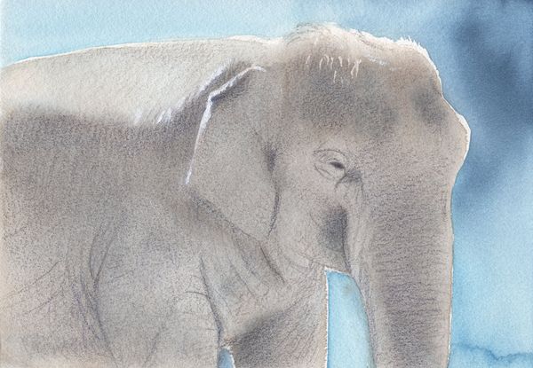 f:id:maronmame:20190926150126j:plain