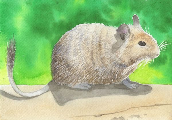 f:id:maronmame:20190926150236j:plain