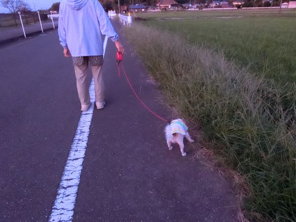 f:id:maronmame:20190926150937j:plain