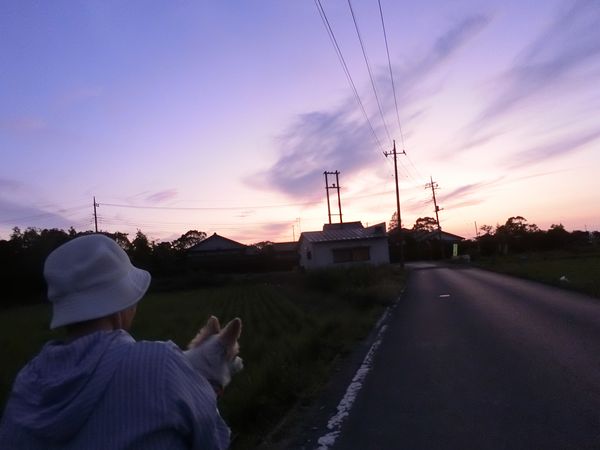 f:id:maronmame:20190926150949j:plain